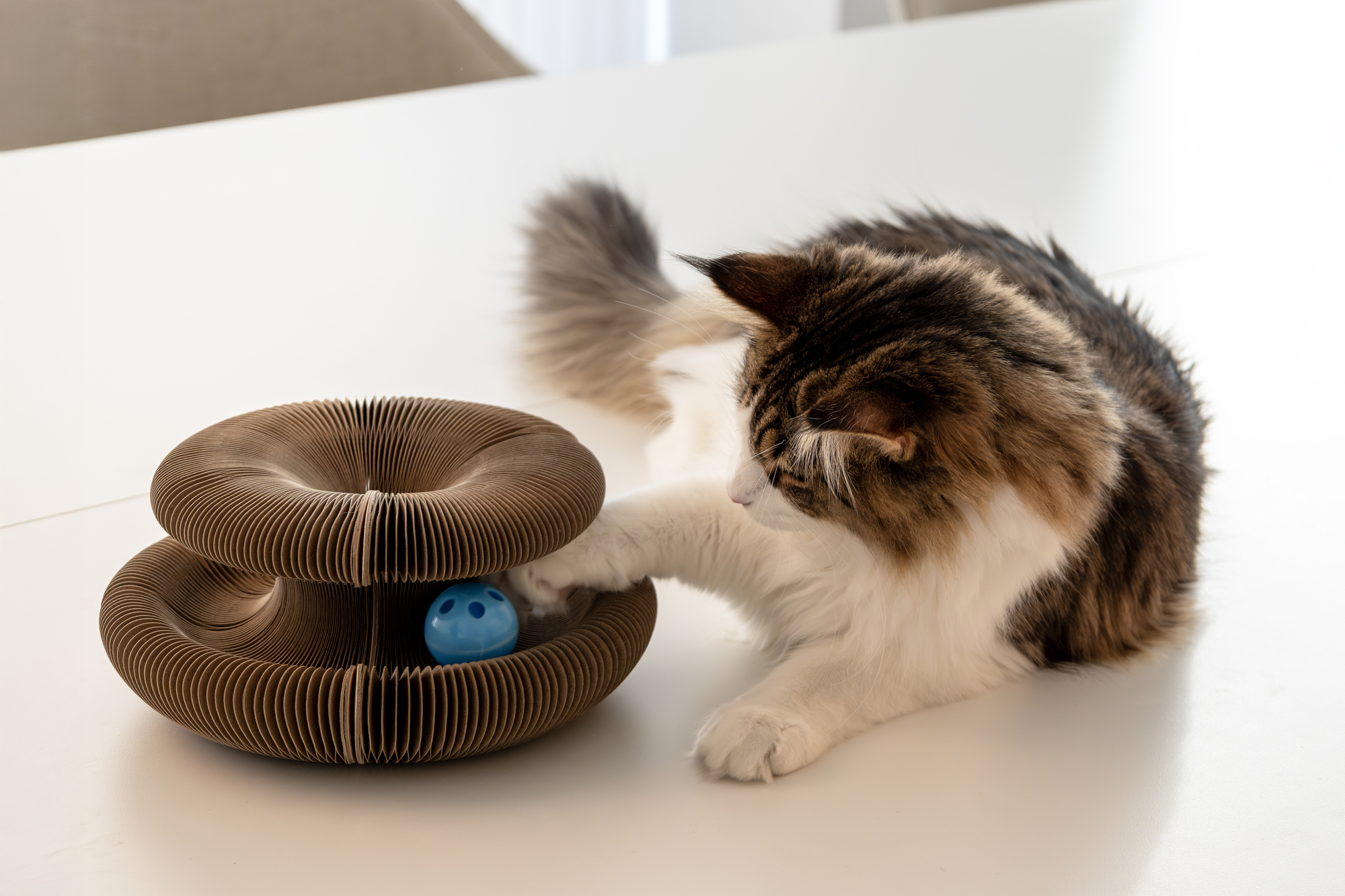 Flamingo Scratching toy Kava Round Brown