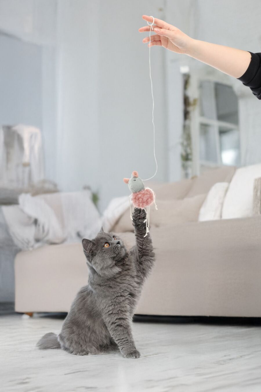 Flamingo Spielzeug Gripi Maus Rosa