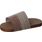 Scratching cardboard Slippi Slipper Brown