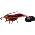 Spielzeug Crawla Hummer Braun