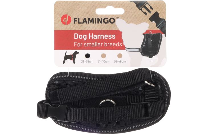 Flamingo Harness Eeny Meeny Black