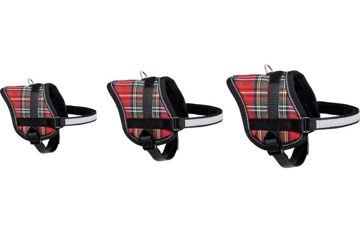 Flamingo Harness Eeny Meeny Red