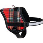 Harness Eeny Meeny Red