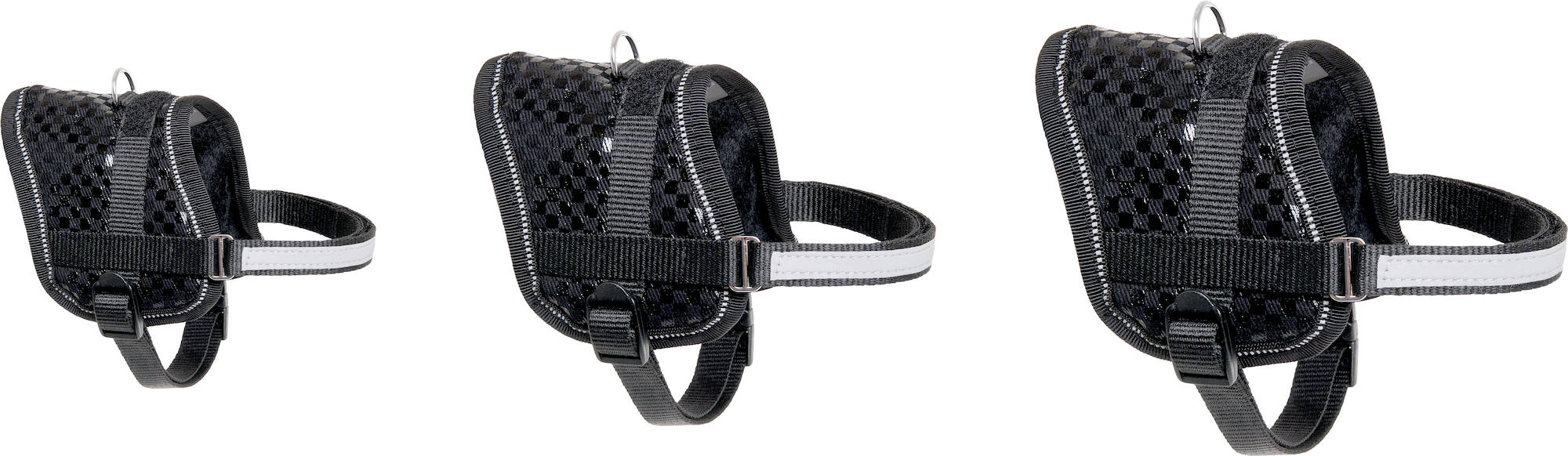 Flamingo Harness Eeny Meeny Black