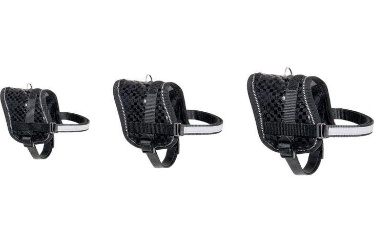 Flamingo Harness Eeny Meeny Black