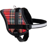 Flamingo Harness Eeny Meeny Red