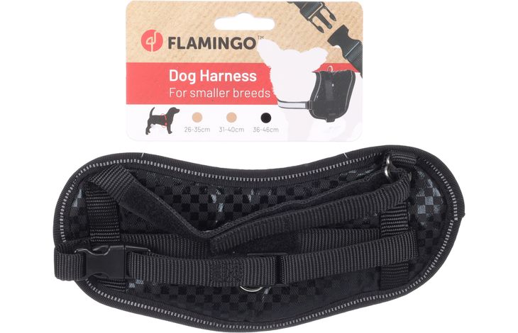 Flamingo Harness Eeny Meeny Black