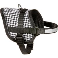 Flamingo Harness Eeny Meeny Black & White