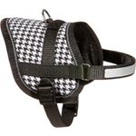 Harness Eeny Meeny Black & White