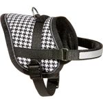 Harness Eeny Meeny Black & White