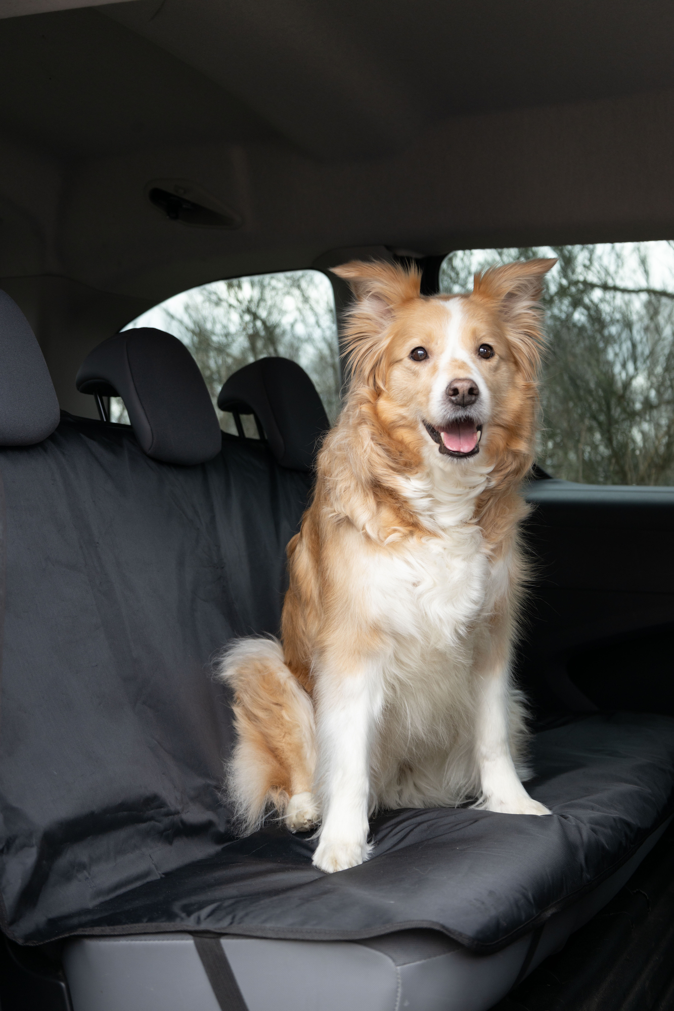 Flamingo Car seat cover Mac Back seat Grey