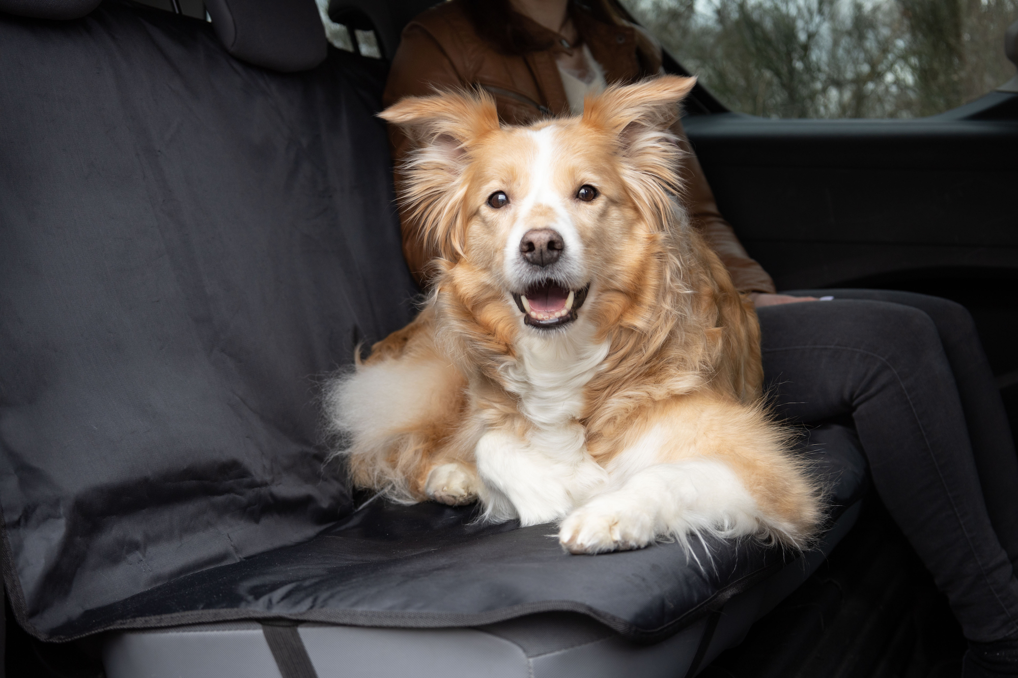 Flamingo Car seat cover Mac Back seat Grey