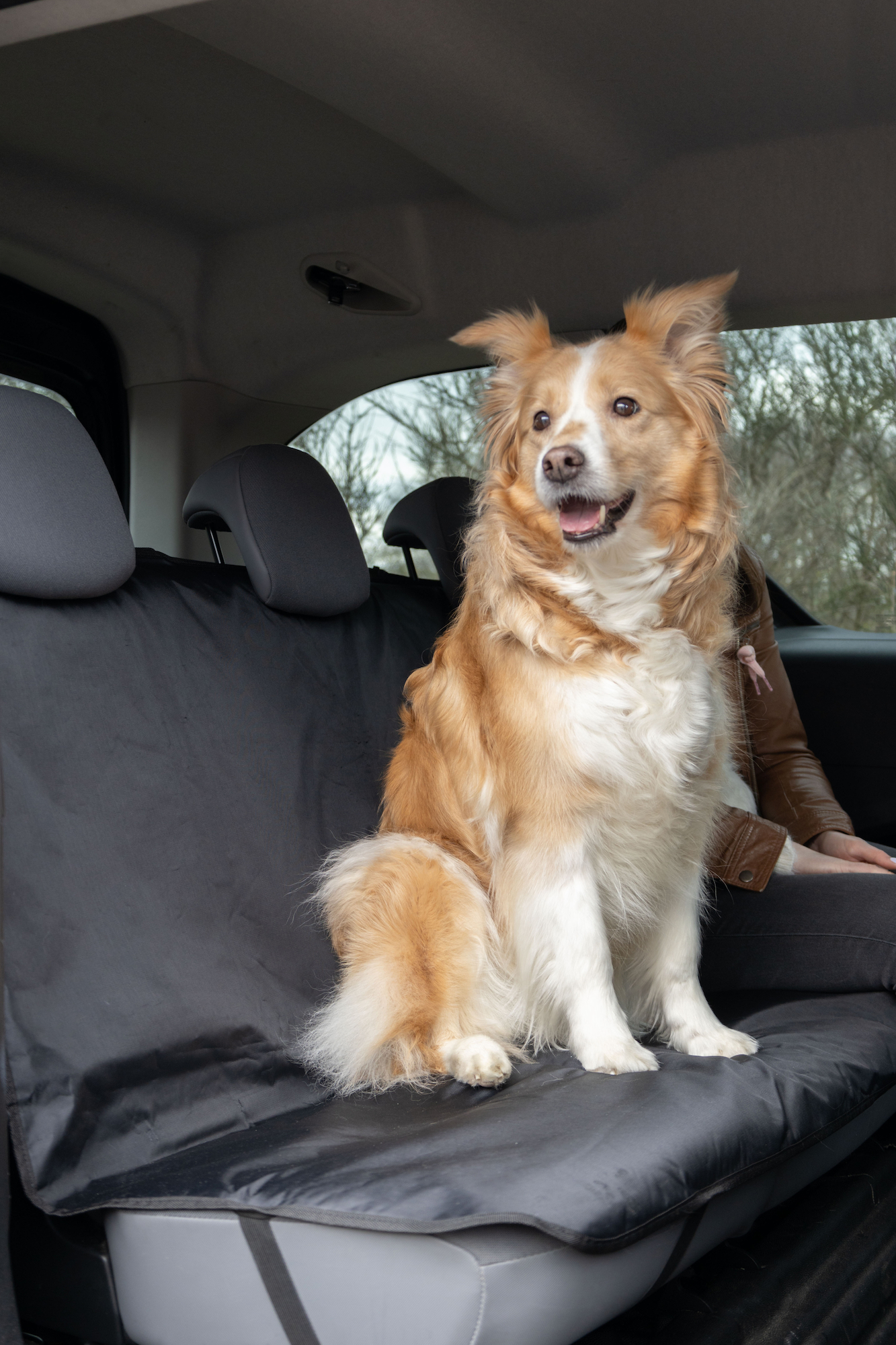 Flamingo Car seat cover Mac Back seat Grey