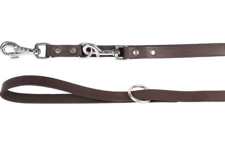 Flamingo Laisse d'entraînement Seattle Brun foncé