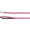  Leash Padded Monte Carlo Pink