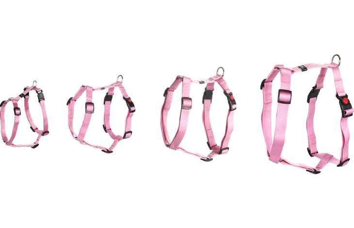 Flamingo Harnais Forme en H Ziggi Rose