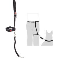 Flamingo Jogging leash Legleader Black