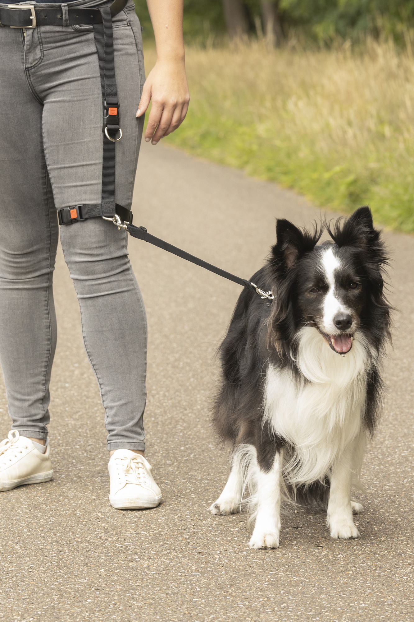 Flamingo Jogging leash Legleader Black