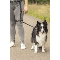 Flamingo Jogging leash Legleader Black