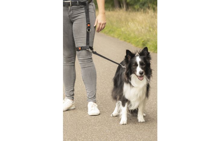 Flamingo Jogging leash Legleader Black