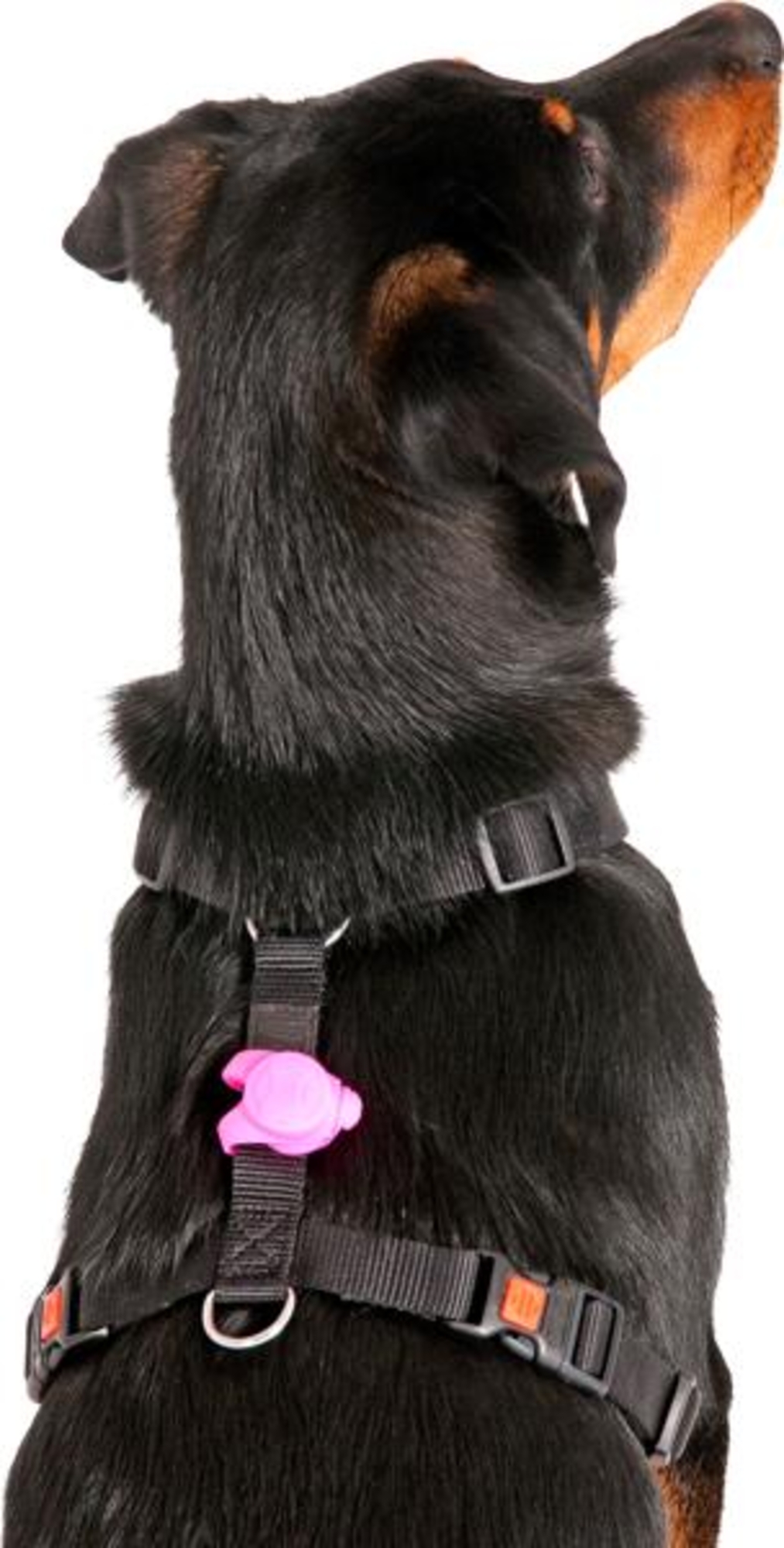 Flamingo Safety light Jada Multiple colours