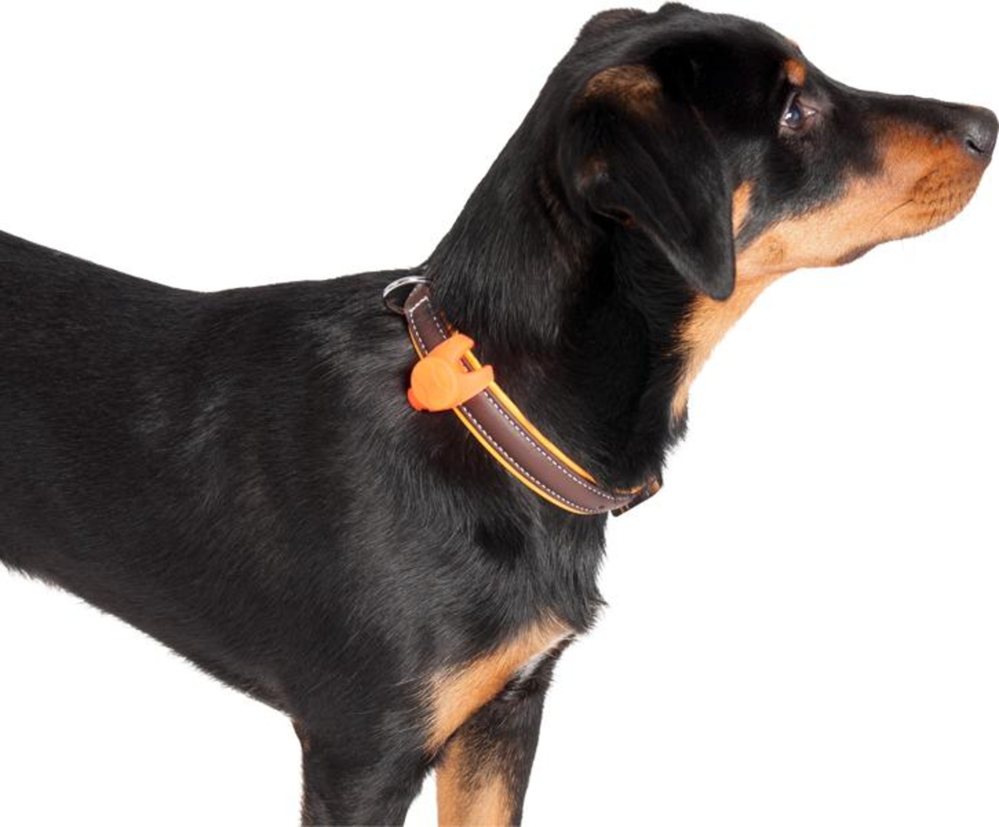 Flamingo Safety light Jada Multiple colours