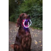 Flamingo Collar Nera Visio Azul