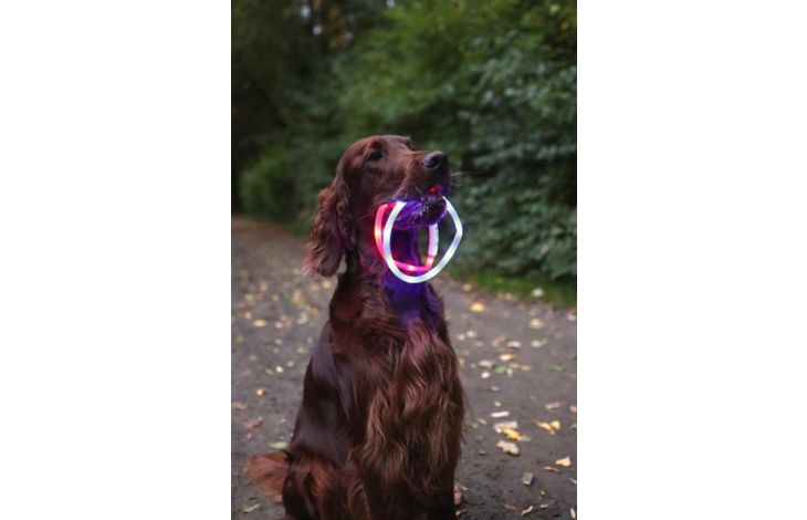 Flamingo Collar Nera Visio Azul