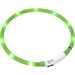Halsband Nera Visio Groen