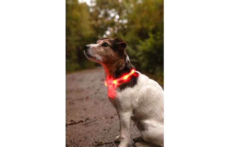 Flamingo Collier Nera Visio Rouge