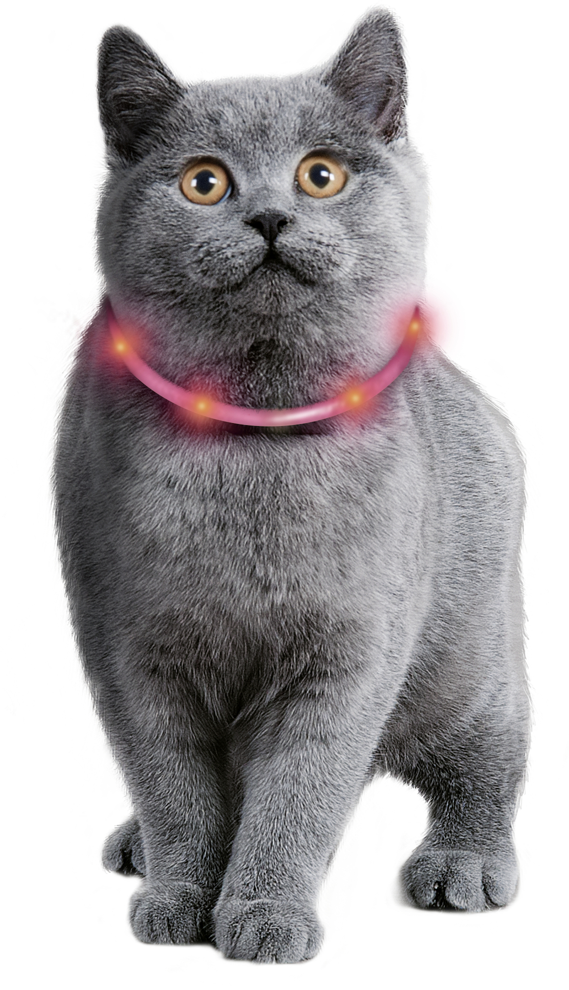 Flamingo Collier Nera Visio Rouge