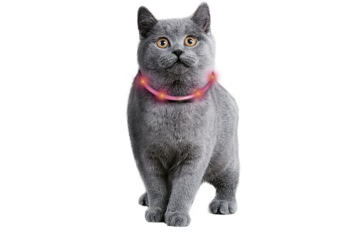 Flamingo Halsband Nera Visio Rood