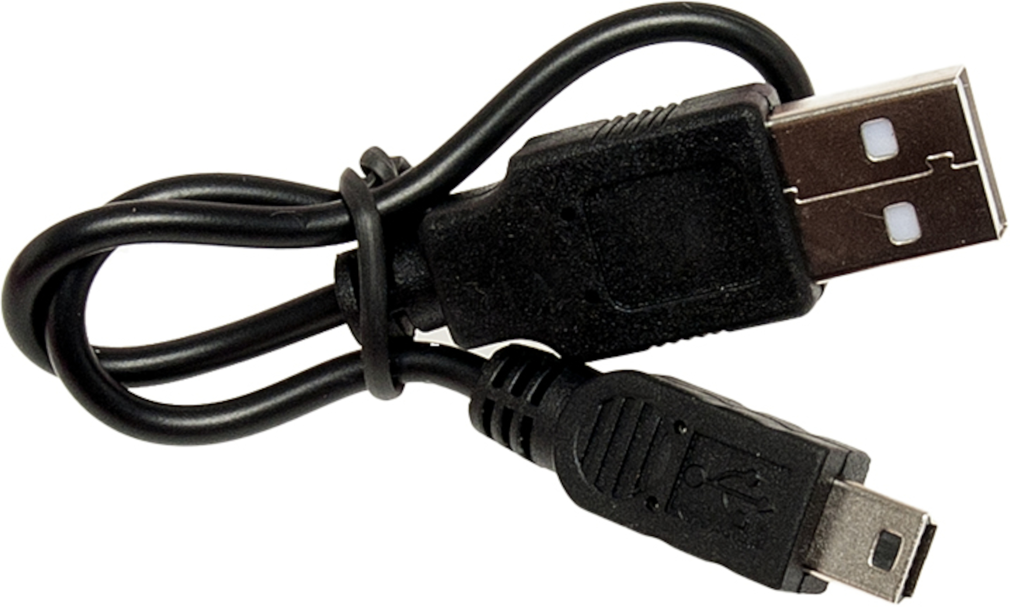 Flamingo Collare Nera Visio Nero