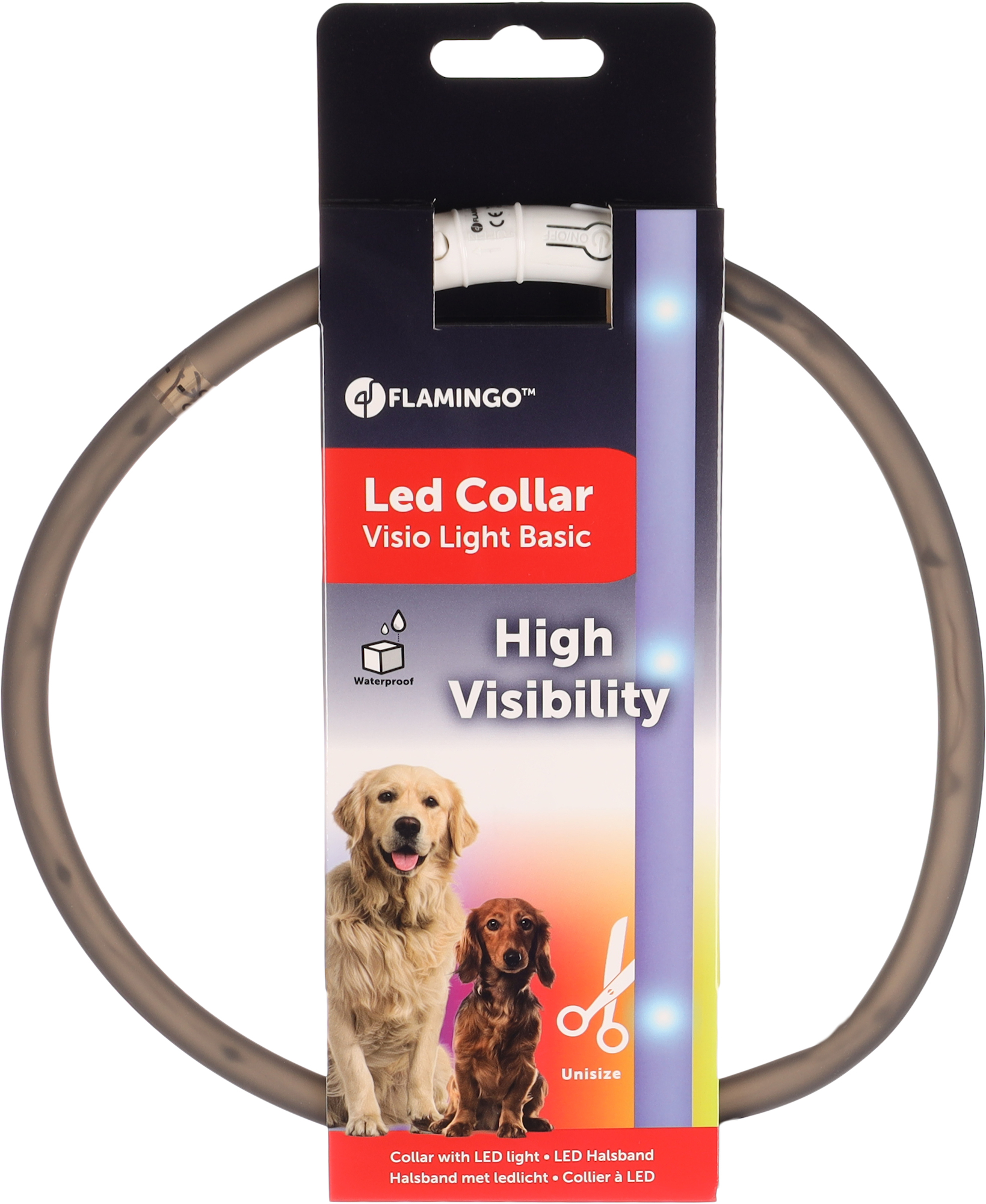 Flamingo Collare Nera Visio Nero