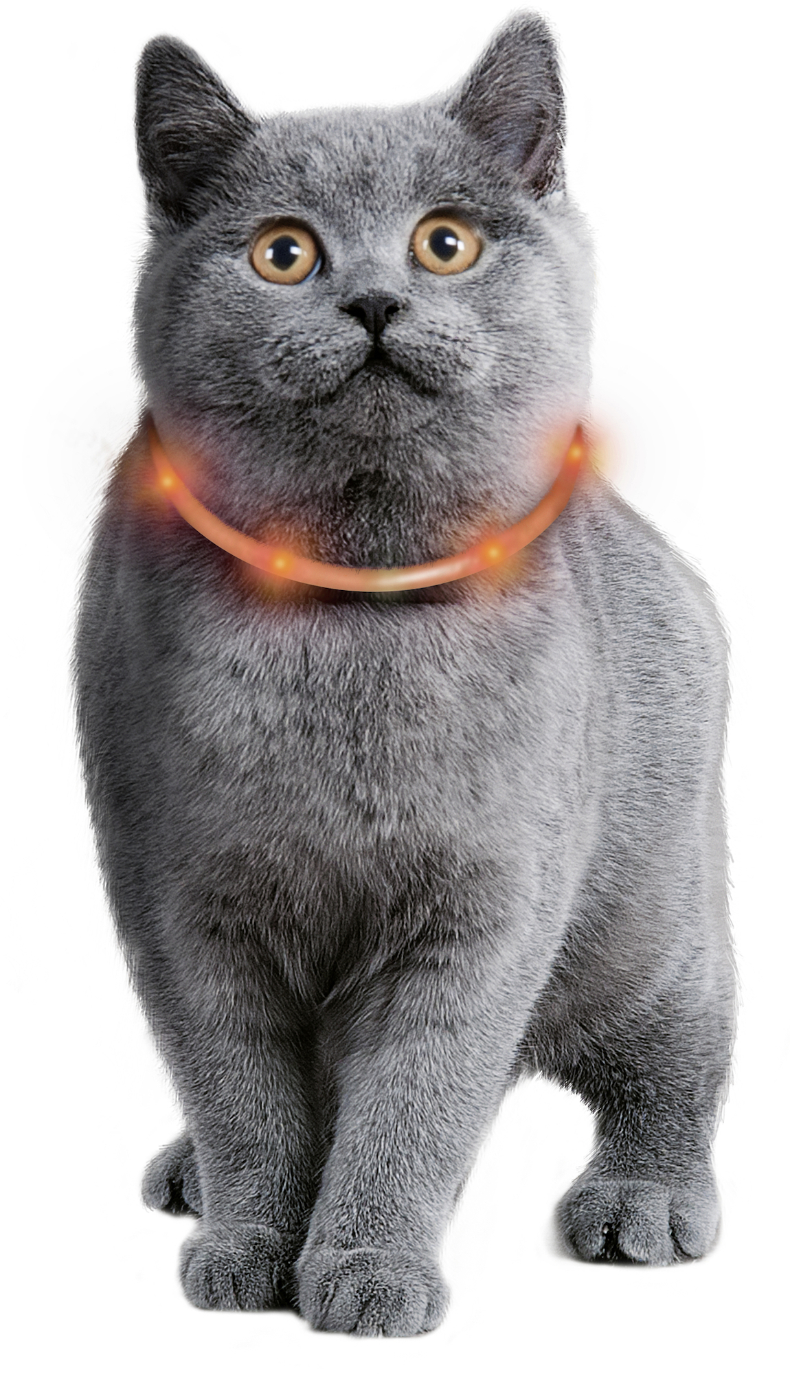 Flamingo Collier Nera Visio Orange