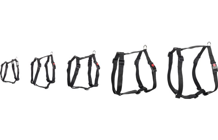 Flamingo Harness H-shape Ziggi Black