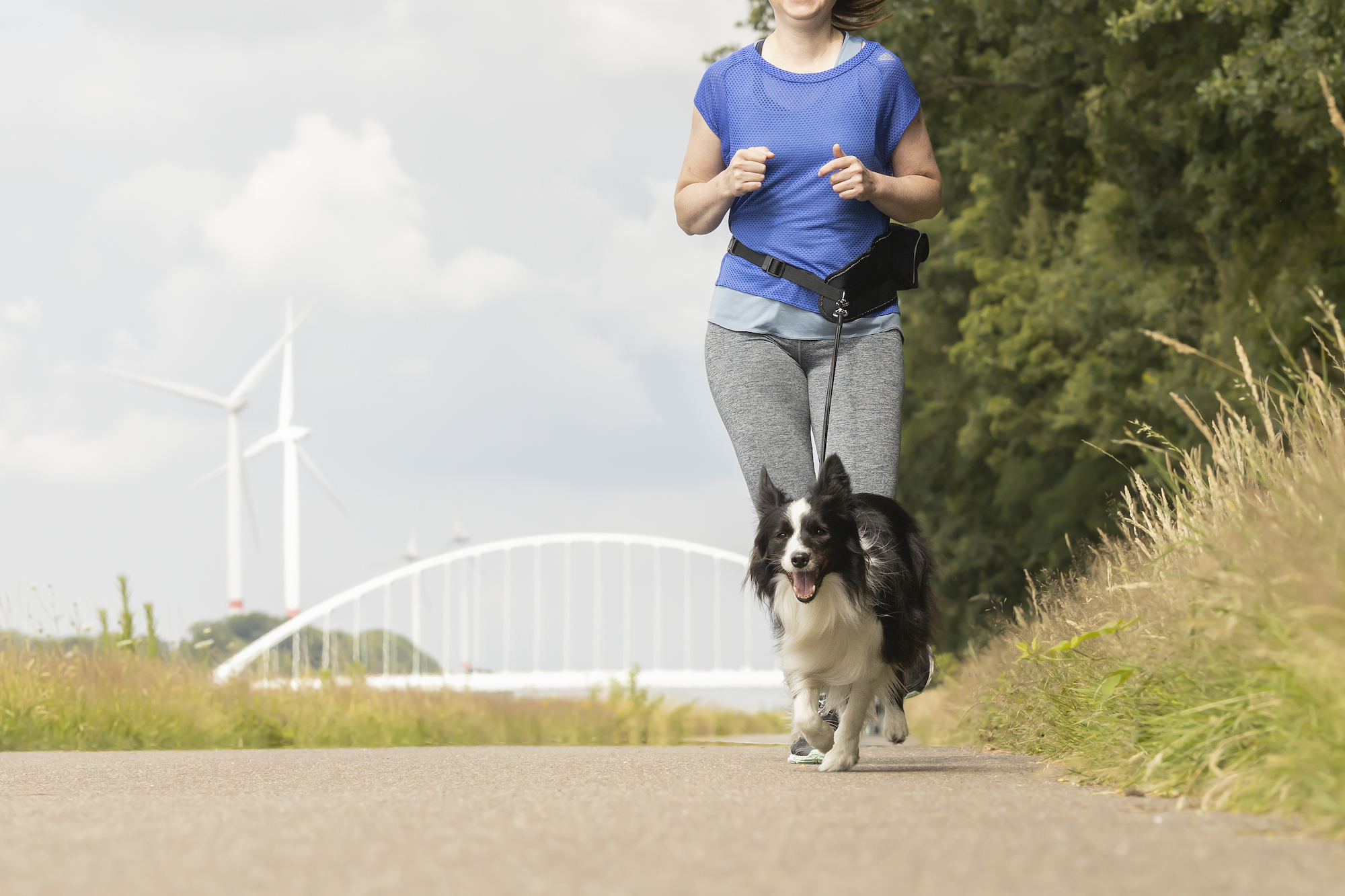 Flamingo Jogging leash with waist belt Janko Black