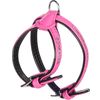 Harnas Gevoerd Monte Carlo Roze