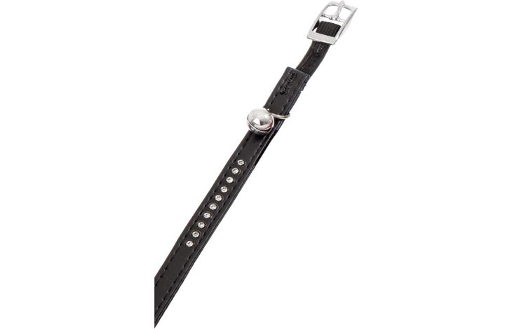Flamingo Collar Padded Monte Carlo Black