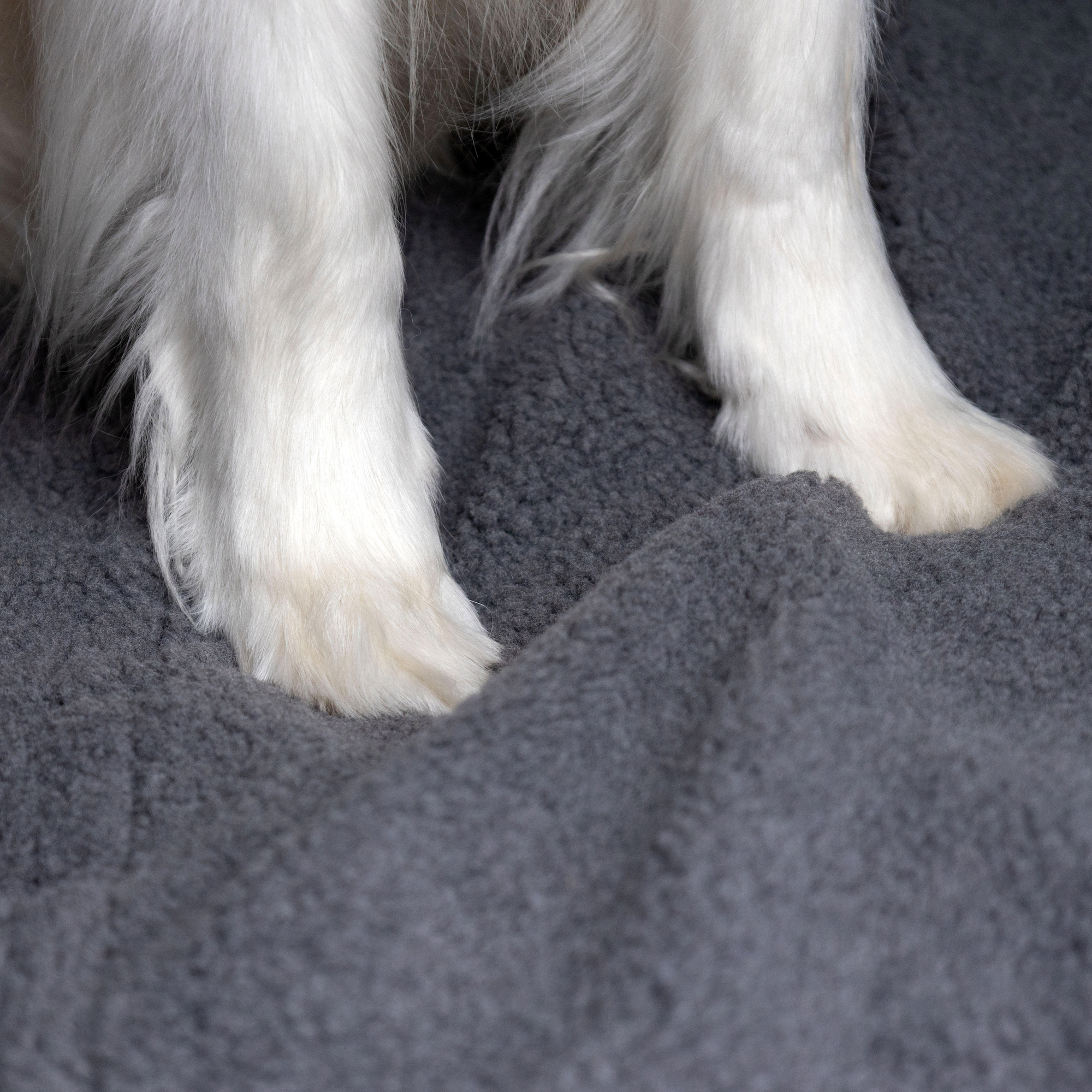 Flamingo Car seat cover Paco Back seat Black & Grey