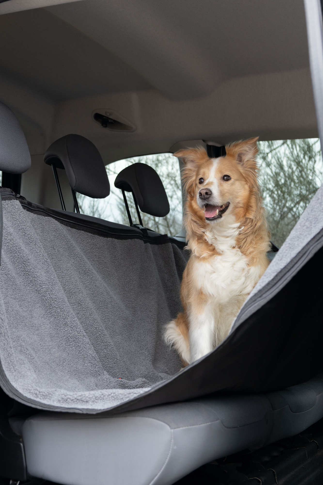 Flamingo Car seat cover Paco Back seat Black & Grey