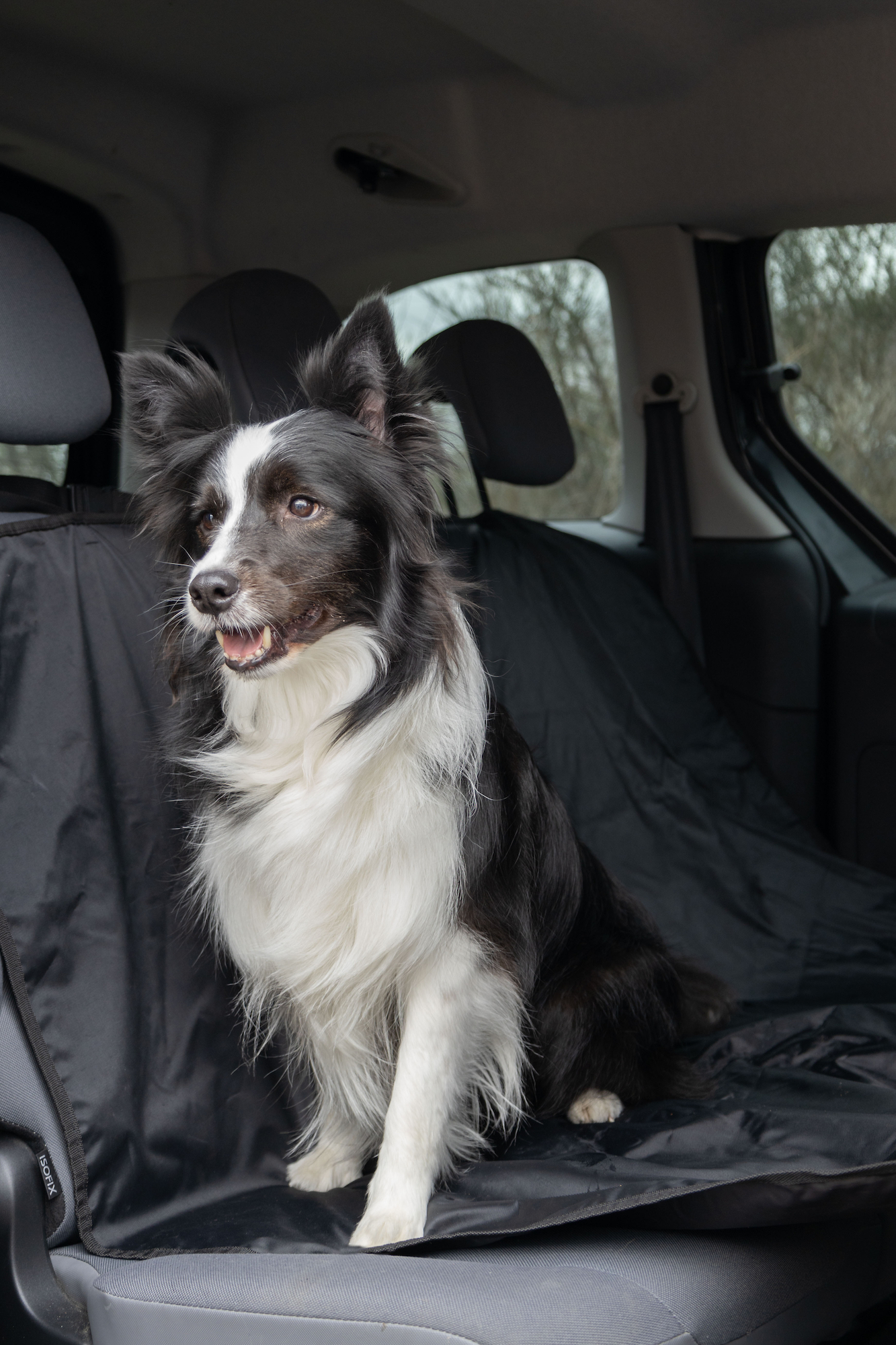 Flamingo Car seat cover Jort Back seat Black