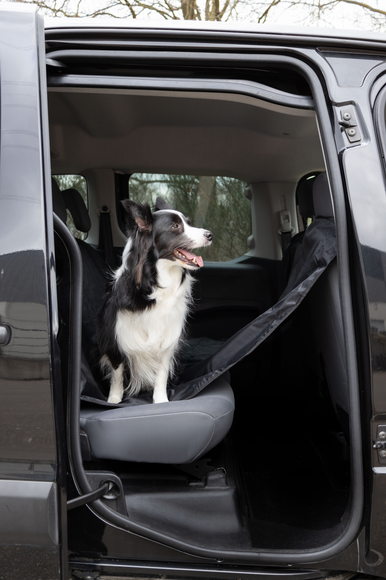 Flamingo Car seat cover Jort Back seat Black