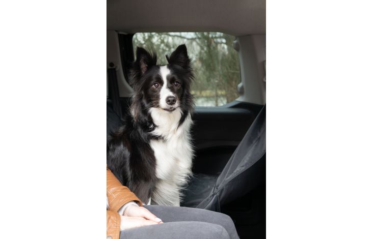 Flamingo Car seat cover Jort Back seat Black