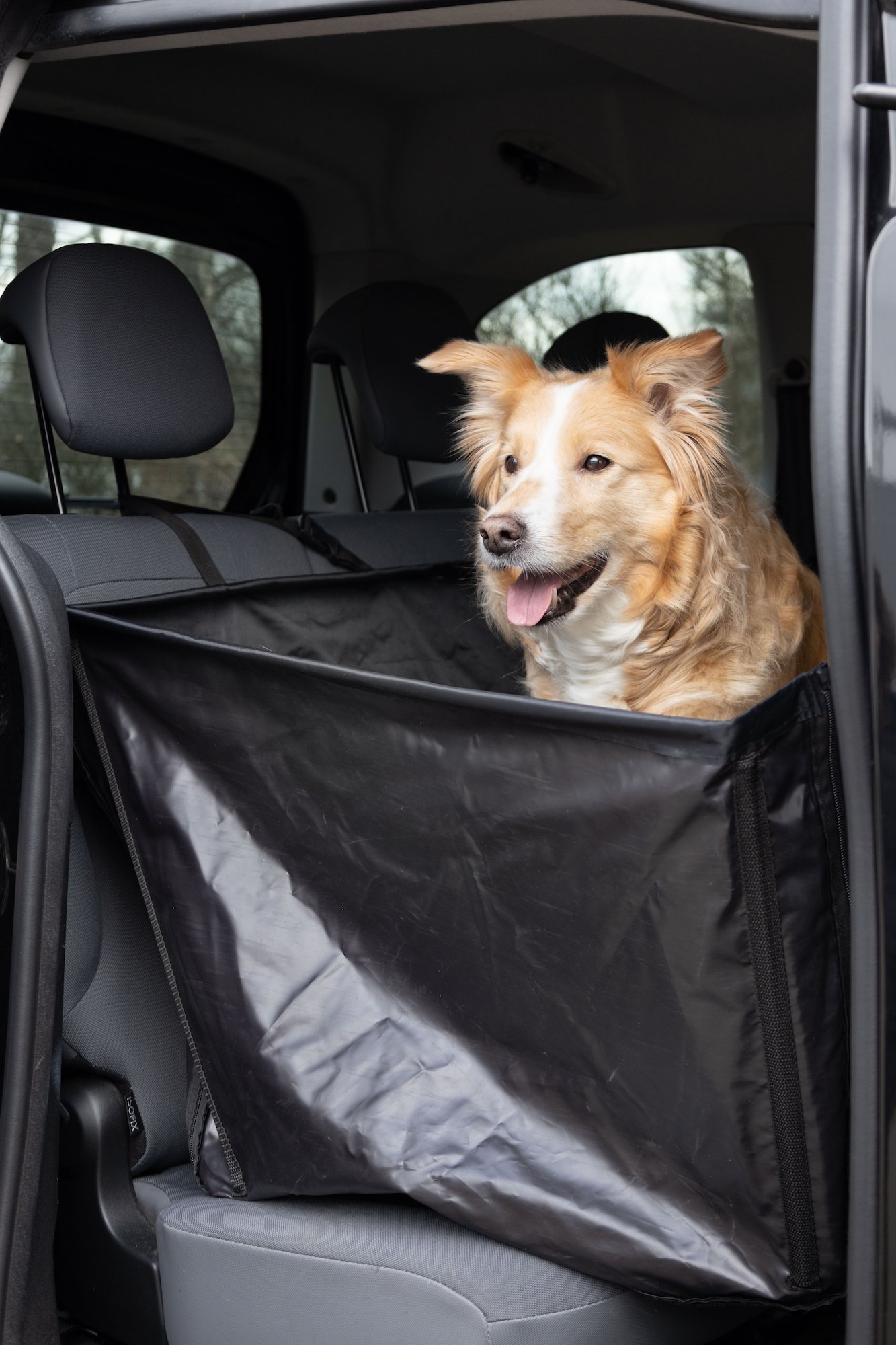 Flamingo Car seat cover Logi Back seat Black