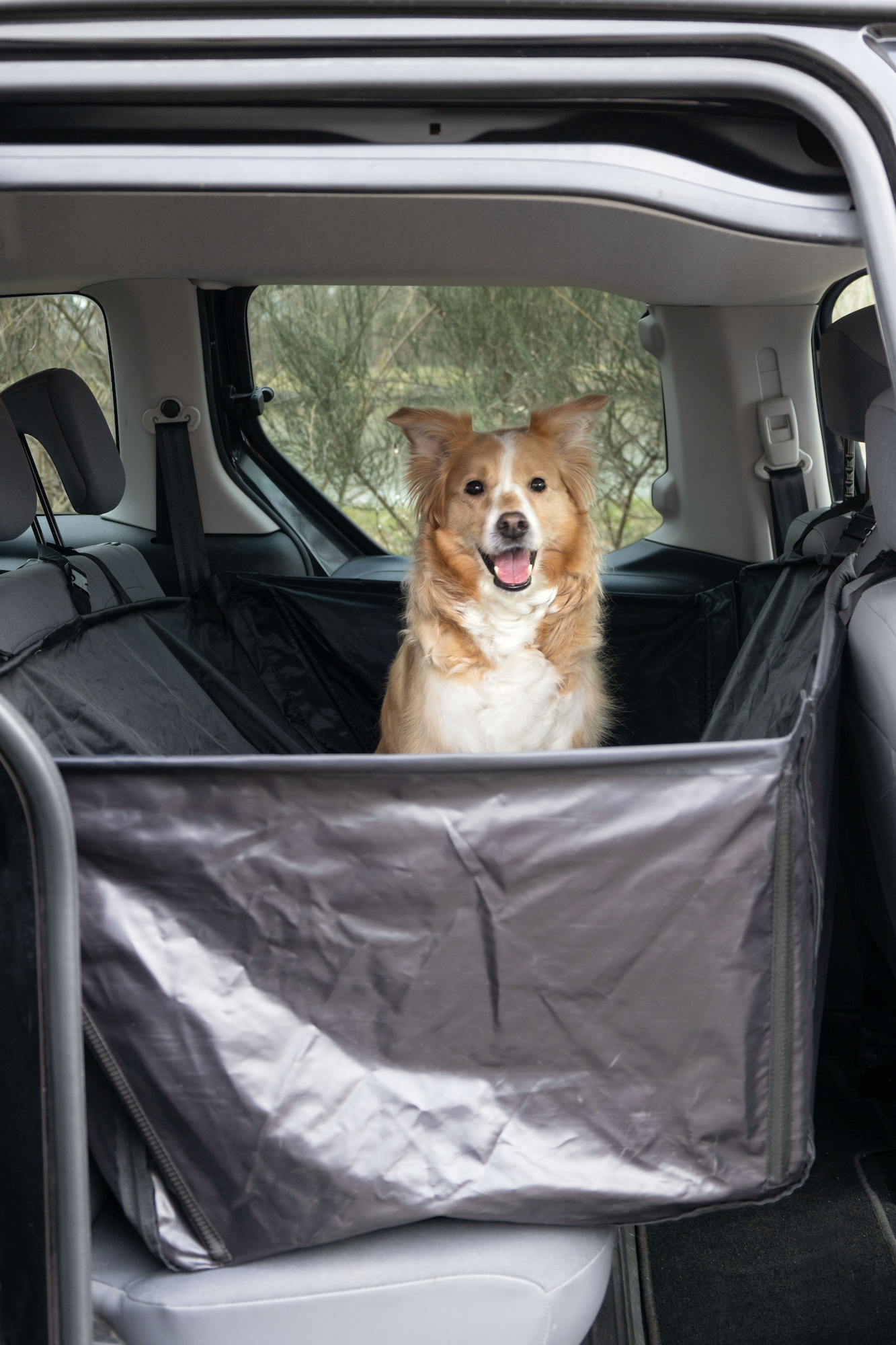 Flamingo Car seat cover Logi Back seat Black