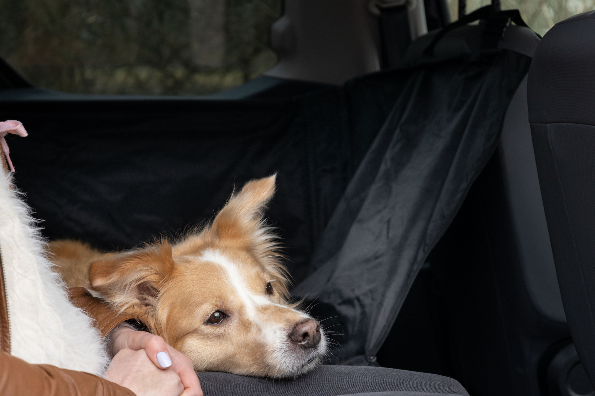 Flamingo Car seat cover Logi Back seat Black