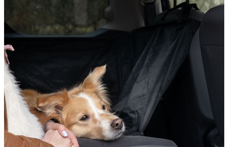 Flamingo Car seat cover Logi Back seat Black