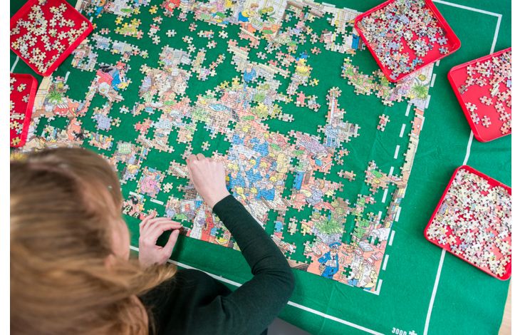 Jumbo Puzzel Sorteerbakjes 6 trays 20x20 cm