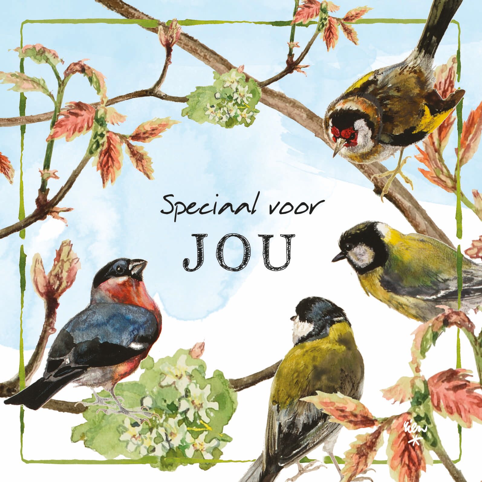 Comello Kaart R. Poortvliet B Speciaal Voor Jou